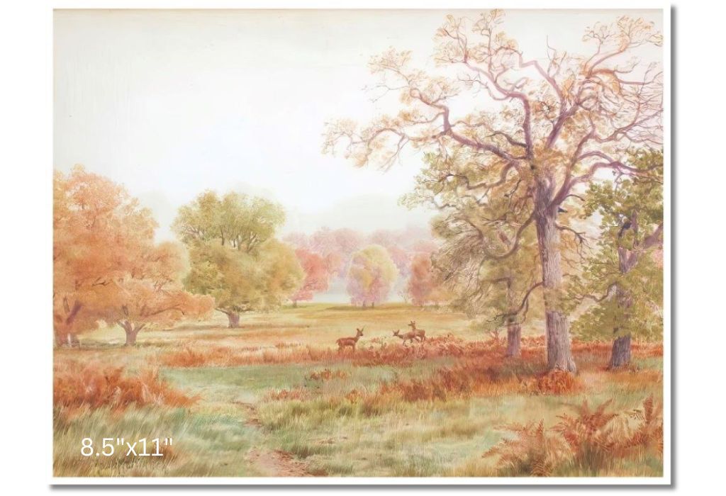 Deer In A Meadow | Thomas Mower Martin | Watercolour